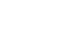 Nidi